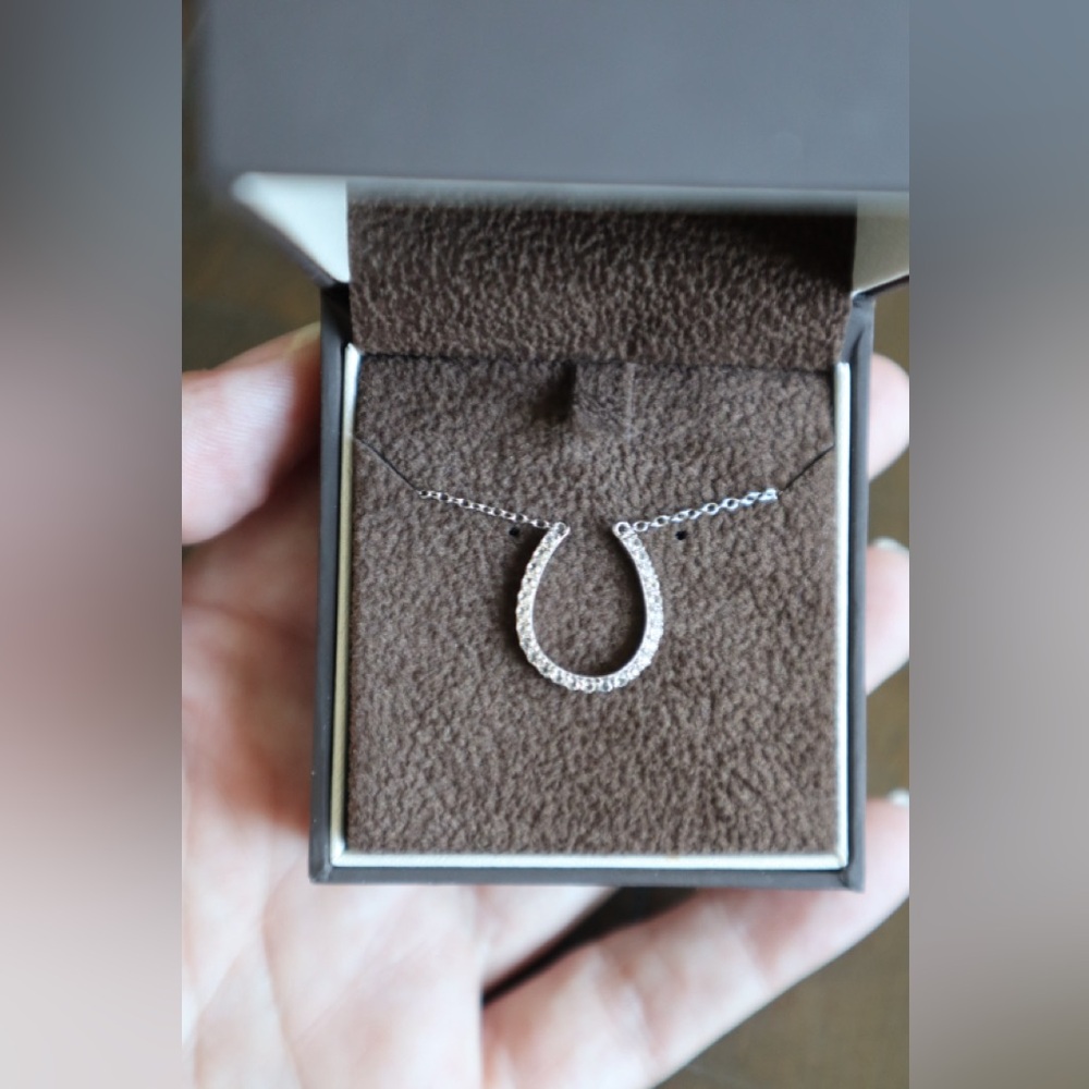 Jared Elegant Silver Horseshoe Necklace